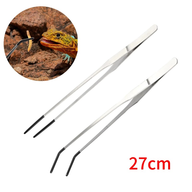 Water Dish Reptile - 2Pcs Stainless Steel Tweezers Set Straight