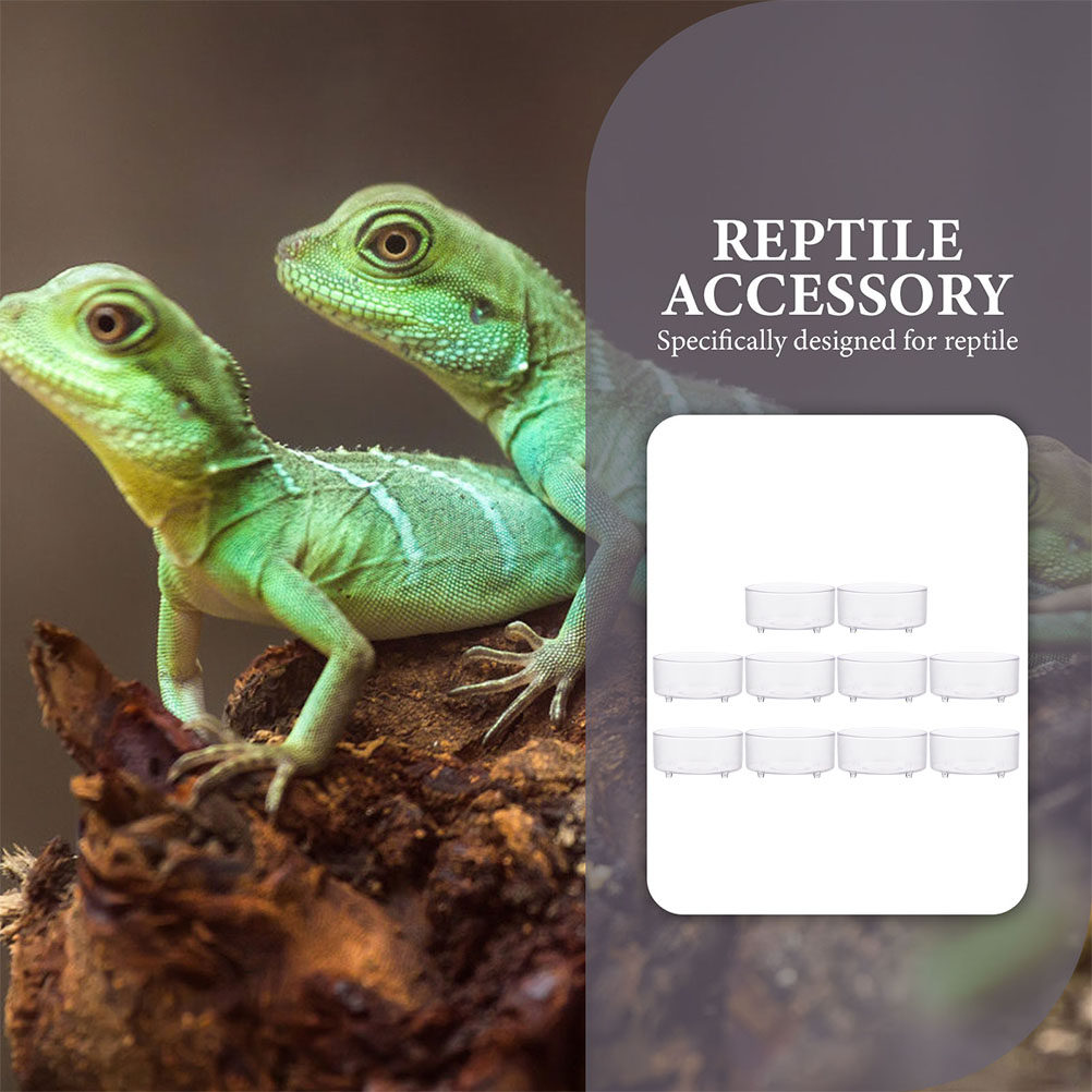 10Pcs Acrylic Reptile Food Dis - Water Dish Reptile บทวิจารณ์และราคา