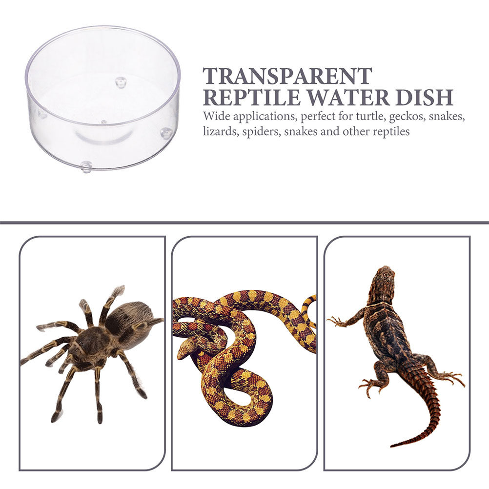 10Pcs Acrylic Reptile Food Dis - Water Dish Reptile บทวิจารณ์และราคา