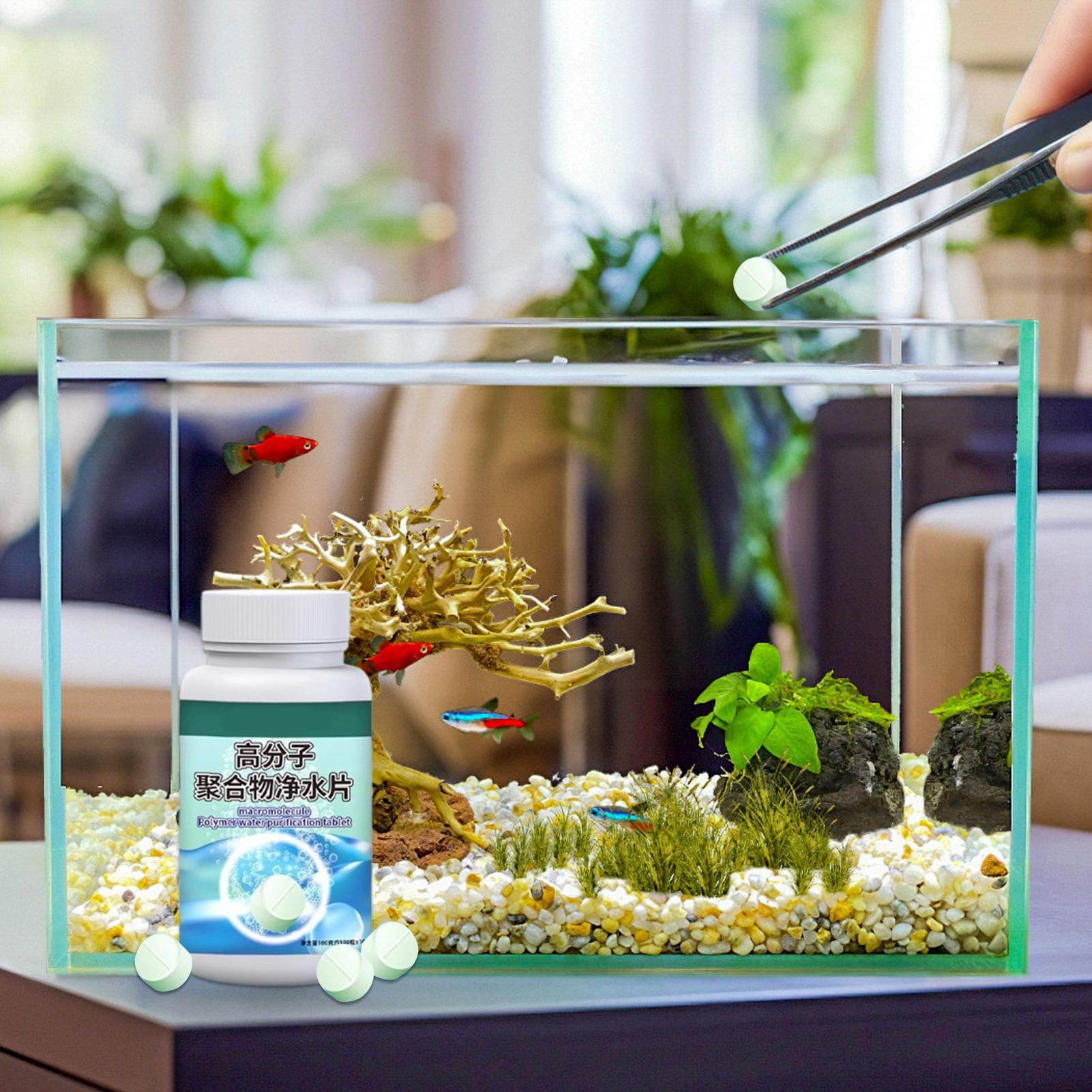 Fish Can Algae Remover Aquariu - Water Dish Reptile บทวิจารณ์และราคา