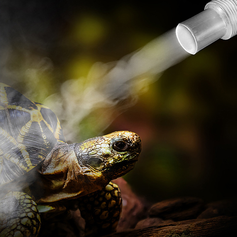 4L Reptile Terrariums Humidifi - Terrarium Fogger Ultrasonic บทวิจารณ์และราคา