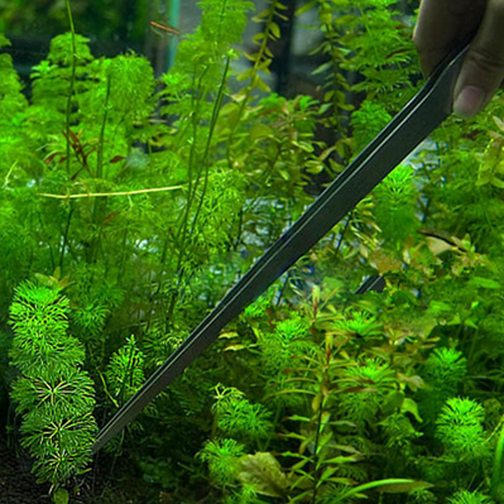 10.5 Inch Aquarium Tweezers St - Feeding Tong Stainless บทวิจารณ์และราคา