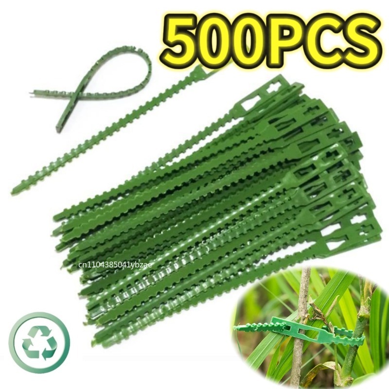 50-1000pcs Adjustable Plastic  - Vine Climbing Plastic บทวิจารณ์และราคา