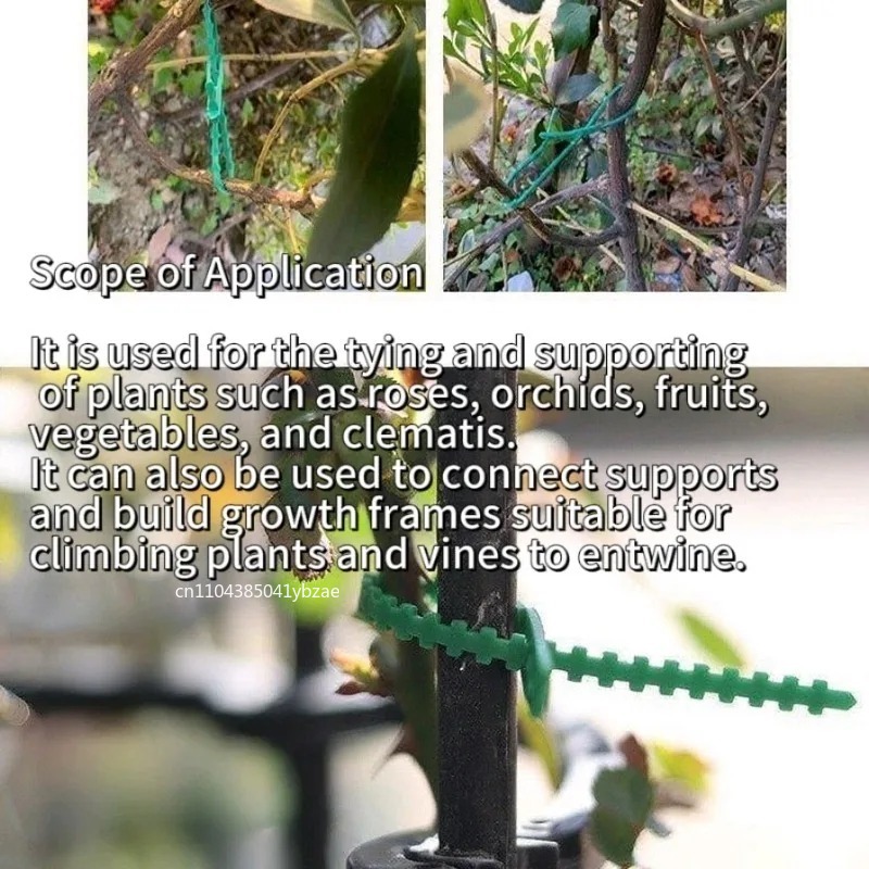 50-1000pcs Adjustable Plastic  - Vine Climbing Plastic บทวิจารณ์และราคา