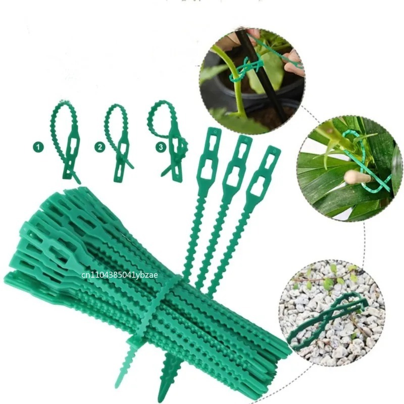 50-1000pcs Adjustable Plastic  - Vine Climbing Plastic บทวิจารณ์และราคา