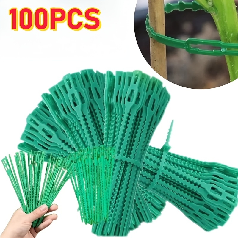 100PCS reusable adjustable pla - Vine Climbing Plastic บทวิจารณ์และราคา