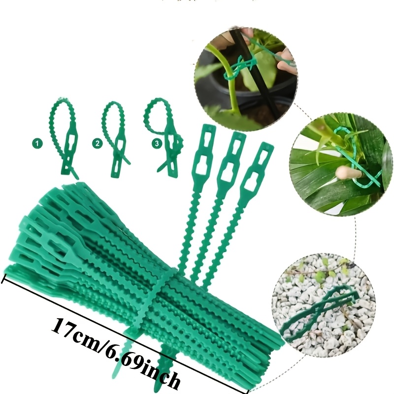 100PCS reusable adjustable pla - Vine Climbing Plastic บทวิจารณ์และราคา