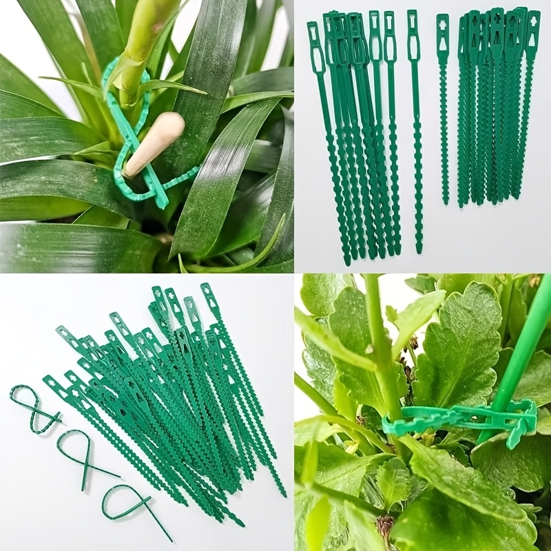 100PCS reusable adjustable pla - Vine Climbing Plastic บทวิจารณ์และราคา