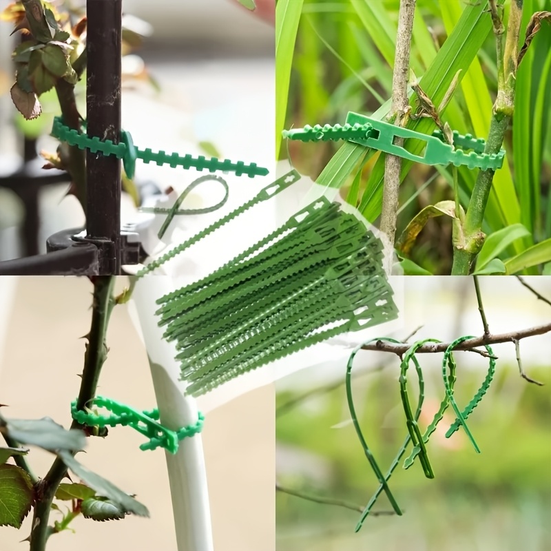 100PCS reusable adjustable pla - Vine Climbing Plastic บทวิจารณ์และราคา