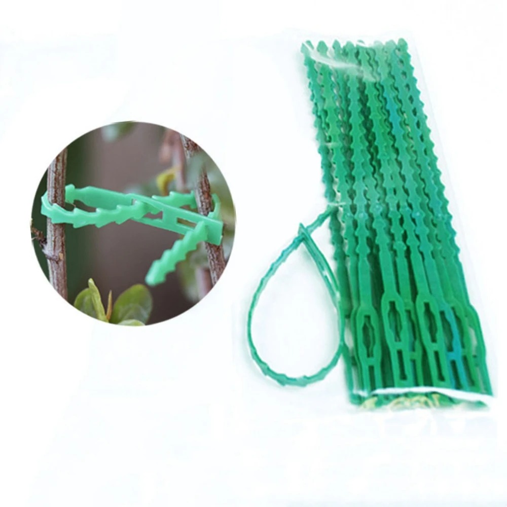 50pcs Adjustable Plastic Plant - Vine Climbing Plastic บทวิจารณ์และราคา
