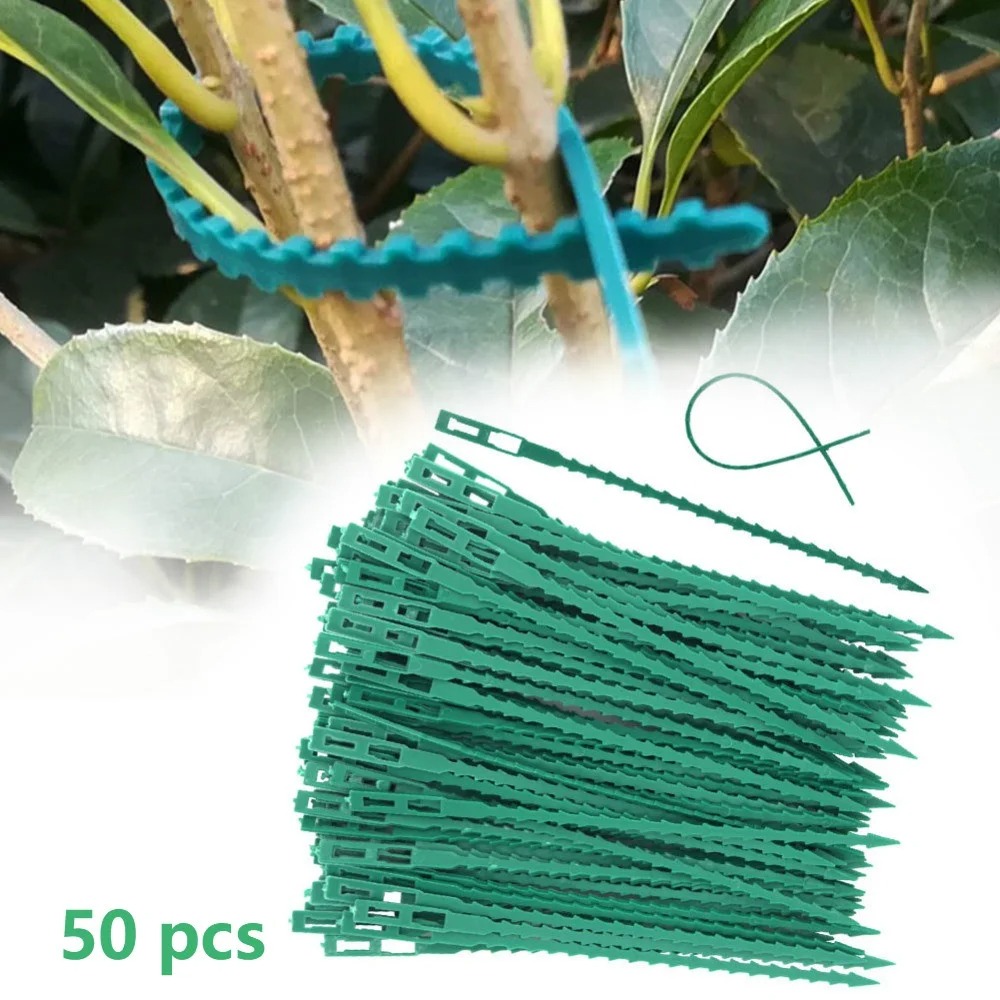50pcs Adjustable Plastic Plant - Vine Climbing Plastic บทวิจารณ์และราคา