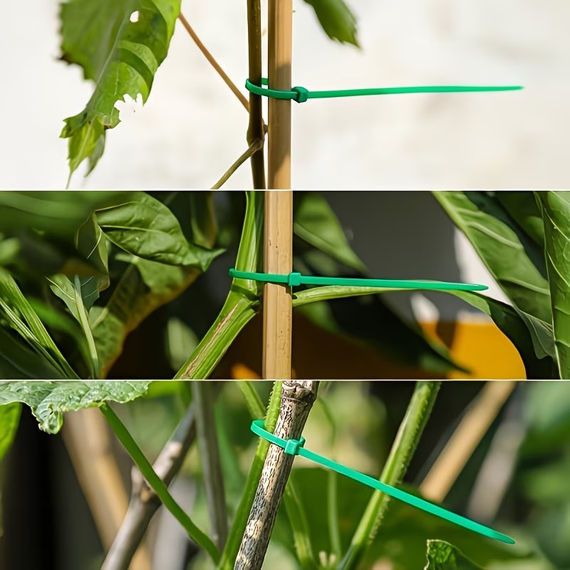 50-300pcs Adjustable Plastic P - Vine Climbing Plastic บทวิจารณ์และราคา