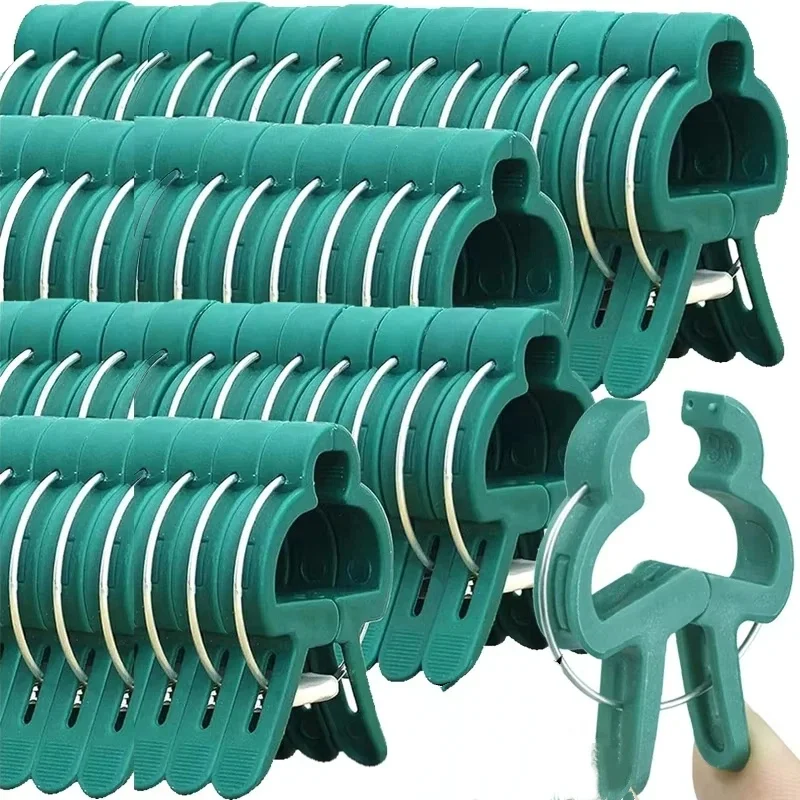 Plant Fixed Clips Reusable Gar - Vine Climbing Plastic บทวิจารณ์และราคา