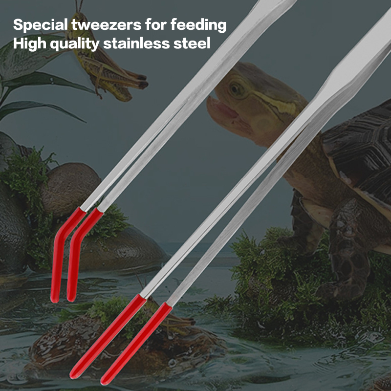 Stainless Steel Fish Tank Main - Feeding Tong Stainless บทวิจารณ์และราคา
