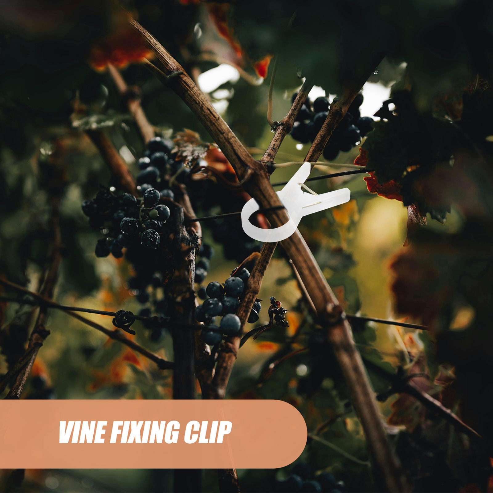 100Pcs Plant Support Clips Pla - Vine Climbing Plastic บทวิจารณ์และราคา