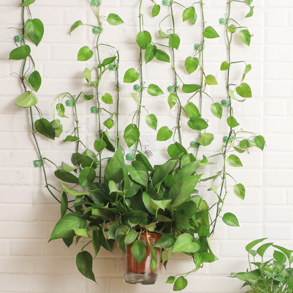 20Pcs Plant Climbing Wall Clip - Vine Climbing Plastic บทวิจารณ์และราคา