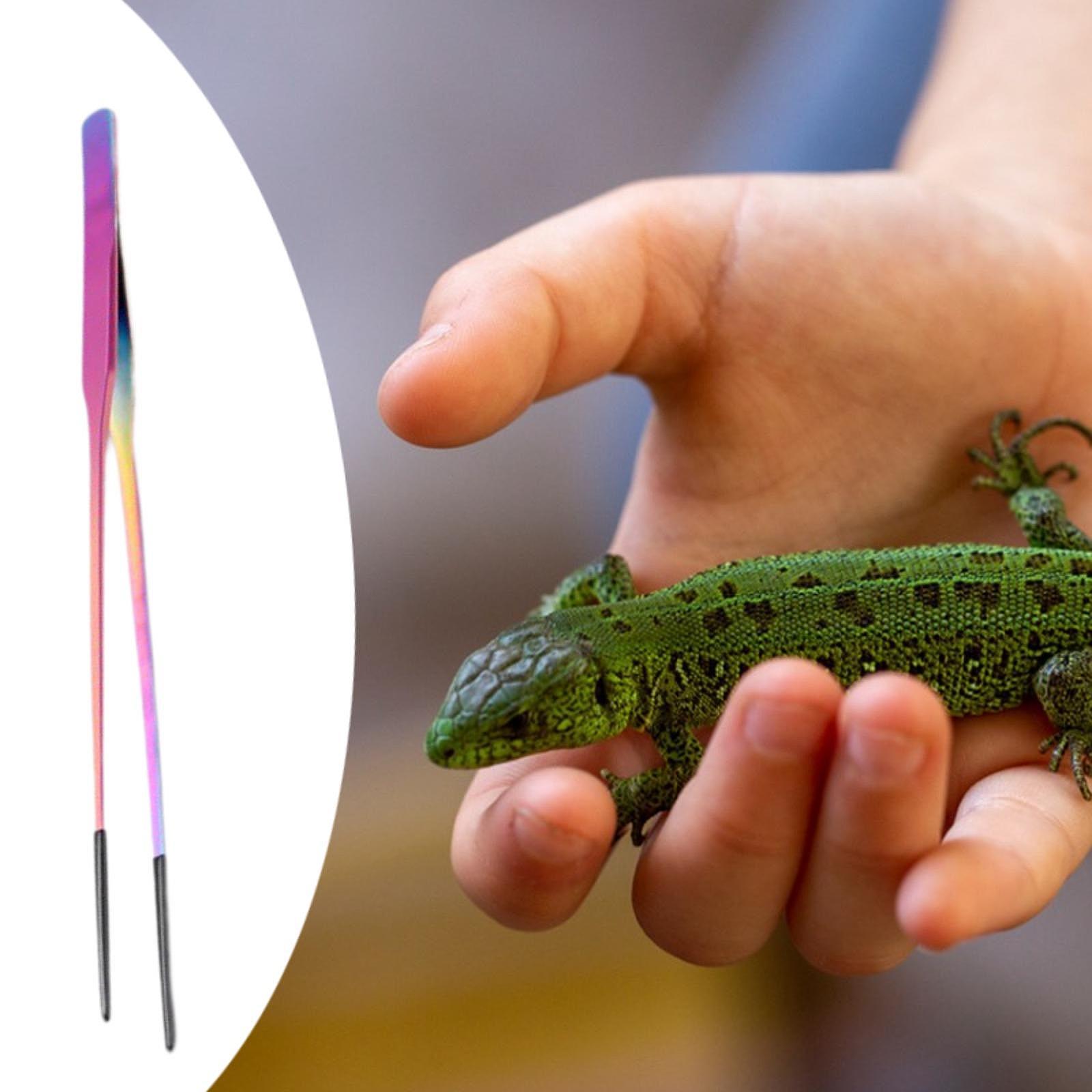 Aquarium Tweezers Reptile Feed - Feeding Tong Stainless บทวิจารณ์และราคา