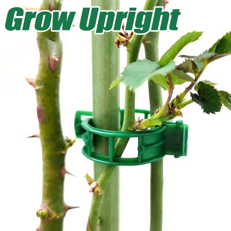 10-500Pcs Garden Plant Support - Vine Climbing Plastic บทวิจารณ์และราคา