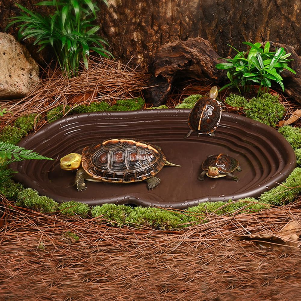 Reptile Bathing Dish Amphibian - Water Dish Reptile บทวิจารณ์และราคา