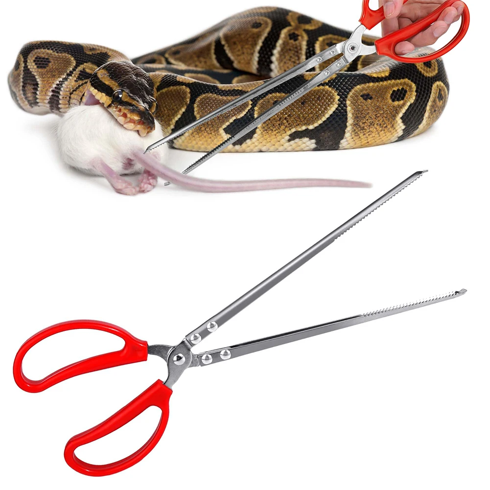 Snake Feeding Tongs Reptile Fe - Water Dish Reptile บทวิจารณ์และราคา