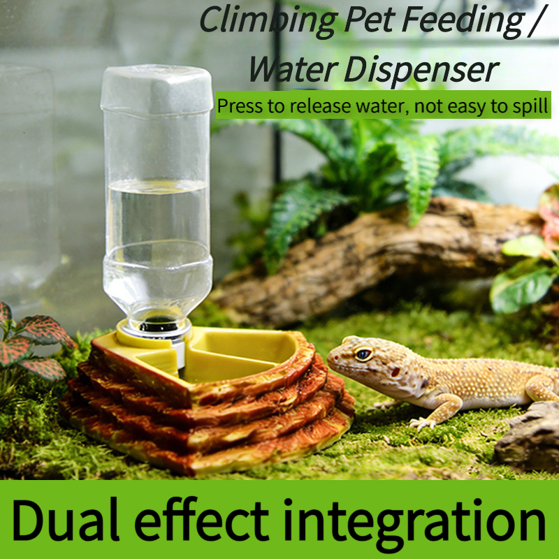2 in 1 Reptile Water Cup Feede - Water Dish Reptile บทวิจารณ์และราคา