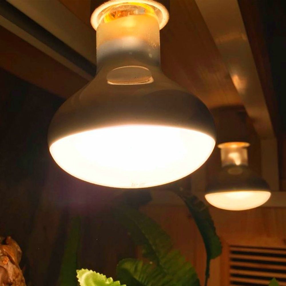 Turtle Temperature Controller  - Basking Bulb Halogen บทวิจารณ์และราคา