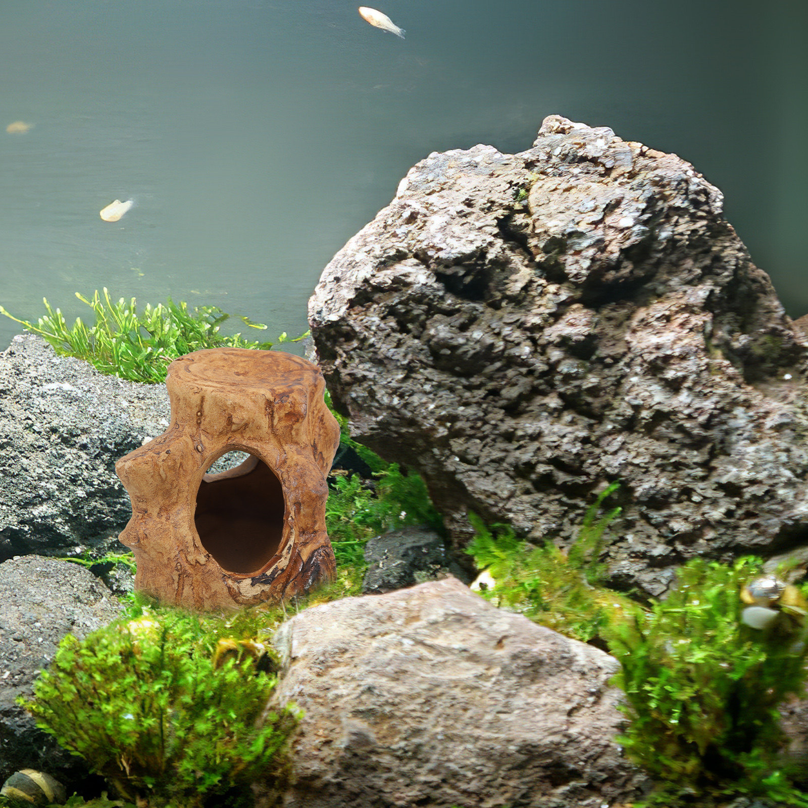 Pleco Caves for Aquarium Fish  - Hide Cave Ceramic บทวิจารณ์และราคา