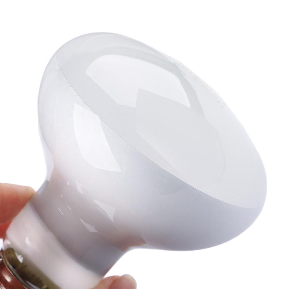 Turtle Heater Temperature Cont - Basking Bulb Halogen บทวิจารณ์และราคา