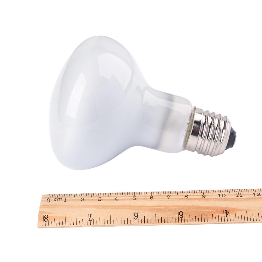 Turtle Heater Temperature Cont - Basking Bulb Halogen บทวิจารณ์และราคา