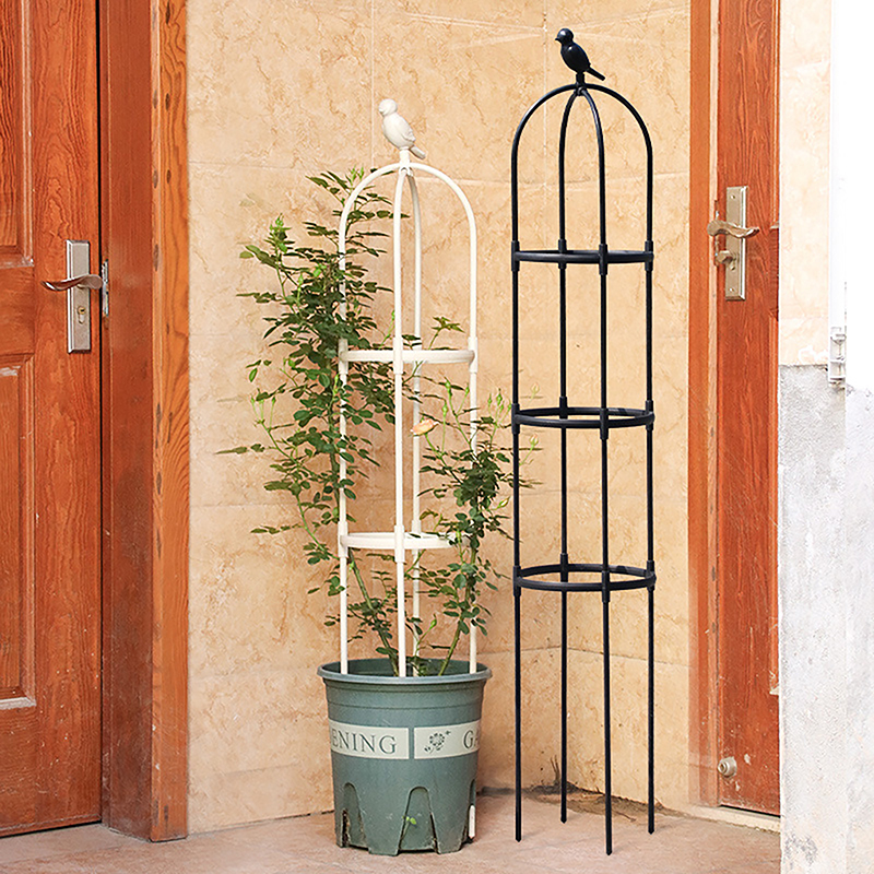 C 1Set Climbing Plant Trellis  - Vine Climbing Plastic บทวิจารณ์และราคา