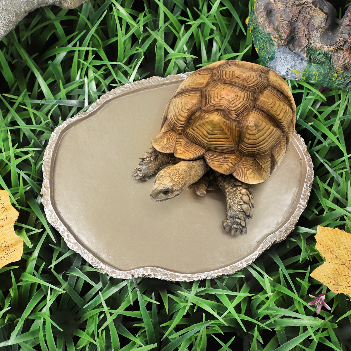 Pets Feeding Plate Reptile Fee - Water Dish Reptile บทวิจารณ์และราคา