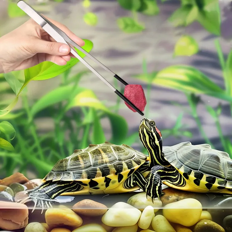 2Pcs Stainless Steel Tweezers  - Water Dish Reptile บทวิจารณ์และราคา