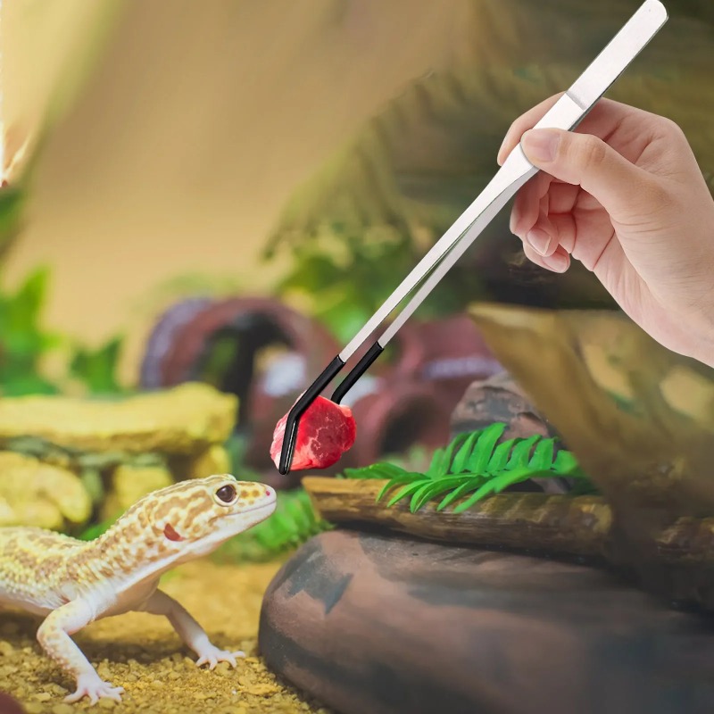2Pcs Stainless Steel Tweezers  - Water Dish Reptile บทวิจารณ์และราคา