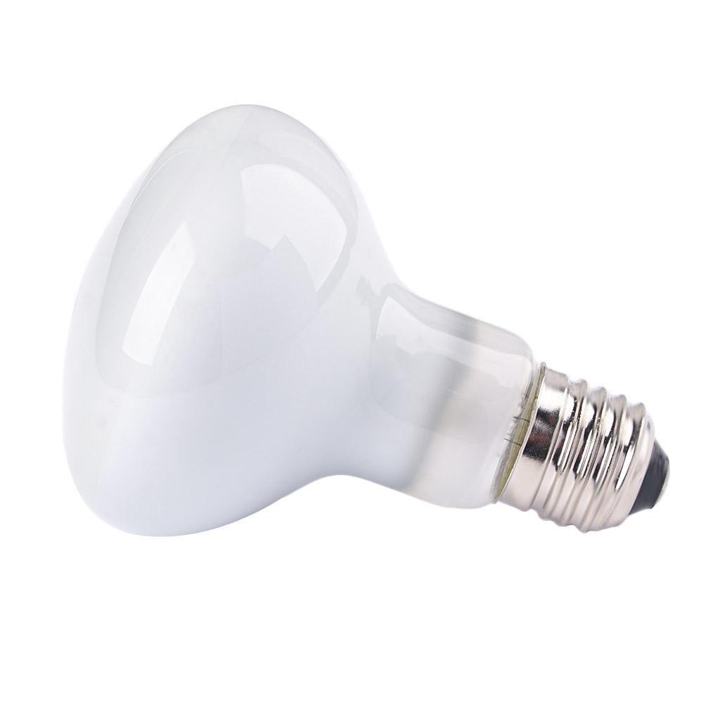 Amphibians Temperature Control - Basking Bulb Halogen บทวิจารณ์และราคา