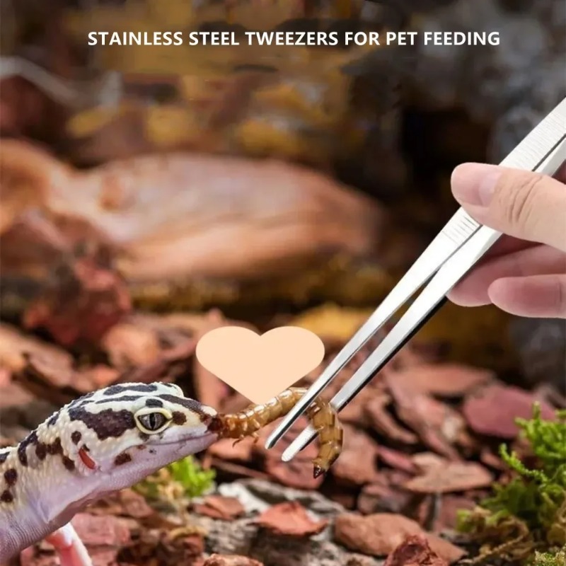 Stainless Multifuctional Steel - Feeding Tong Stainless บทวิจารณ์และราคา