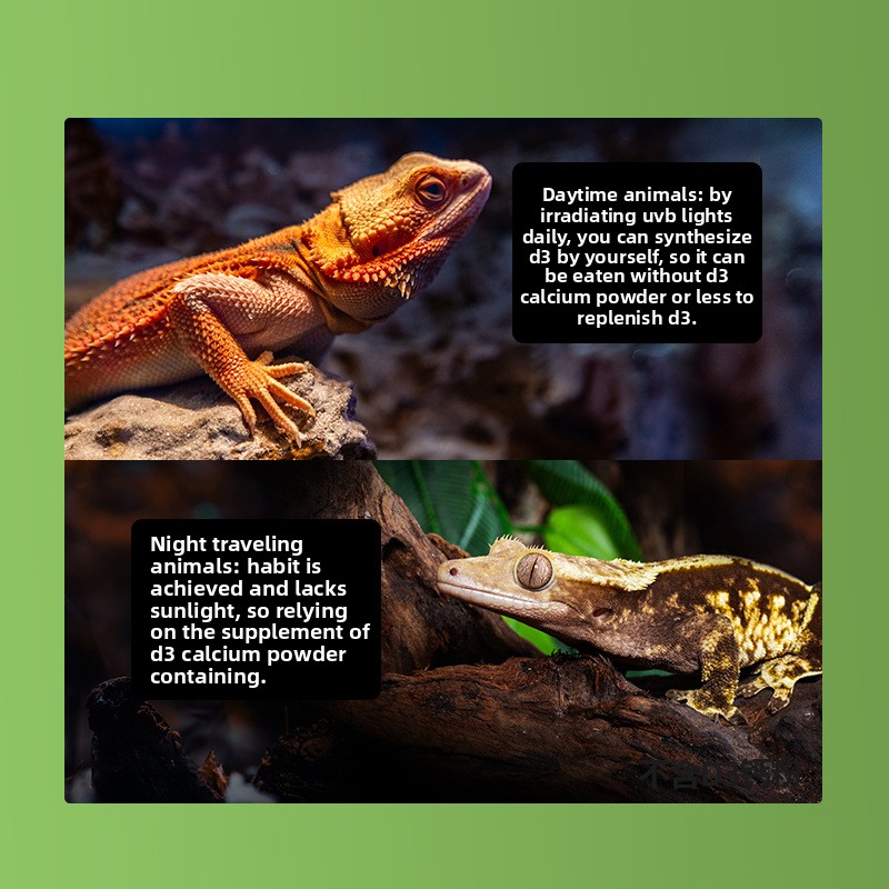 Reptizoo Reptile Calcium Powde - Calcium Powder Reptile บทวิจารณ์และราคา