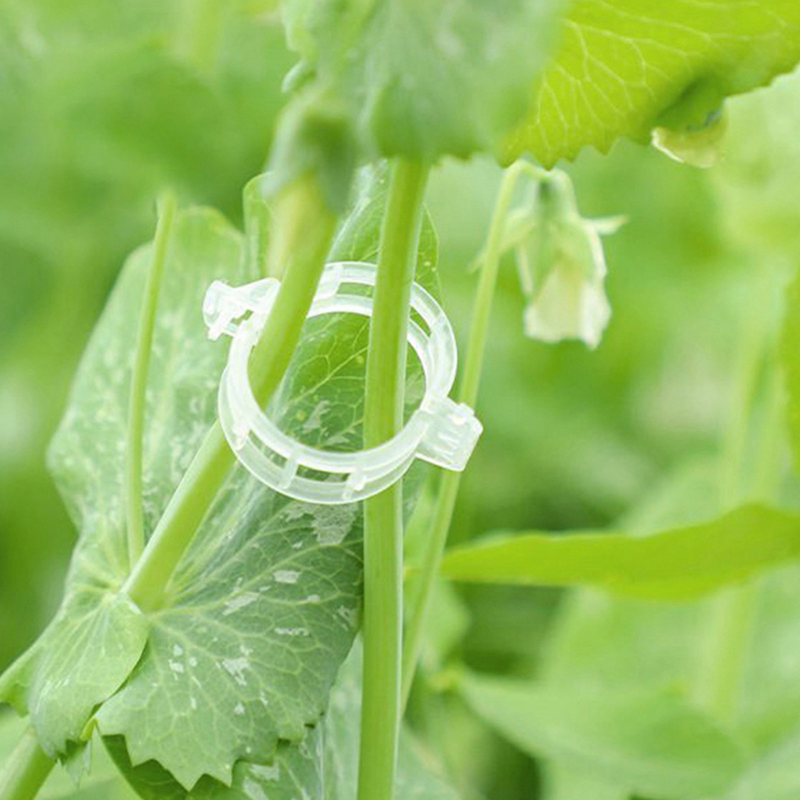 400Pcs Tomato Clips Plastic Ve - Vine Climbing Plastic บทวิจารณ์และราคา
