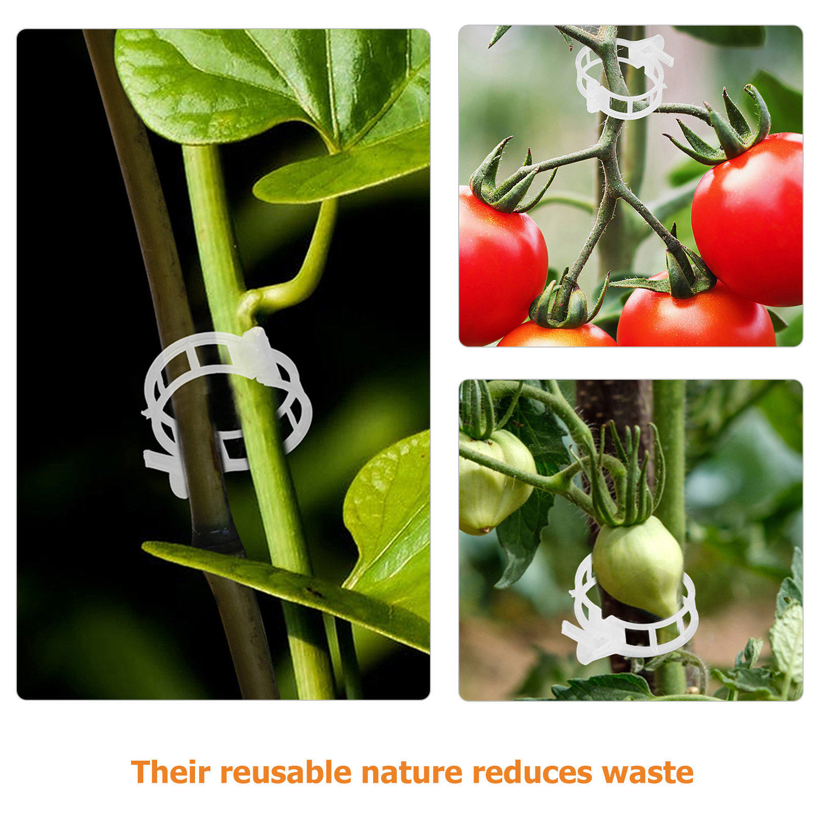 400Pcs Tomato Clips Plastic Ve - Vine Climbing Plastic บทวิจารณ์และราคา