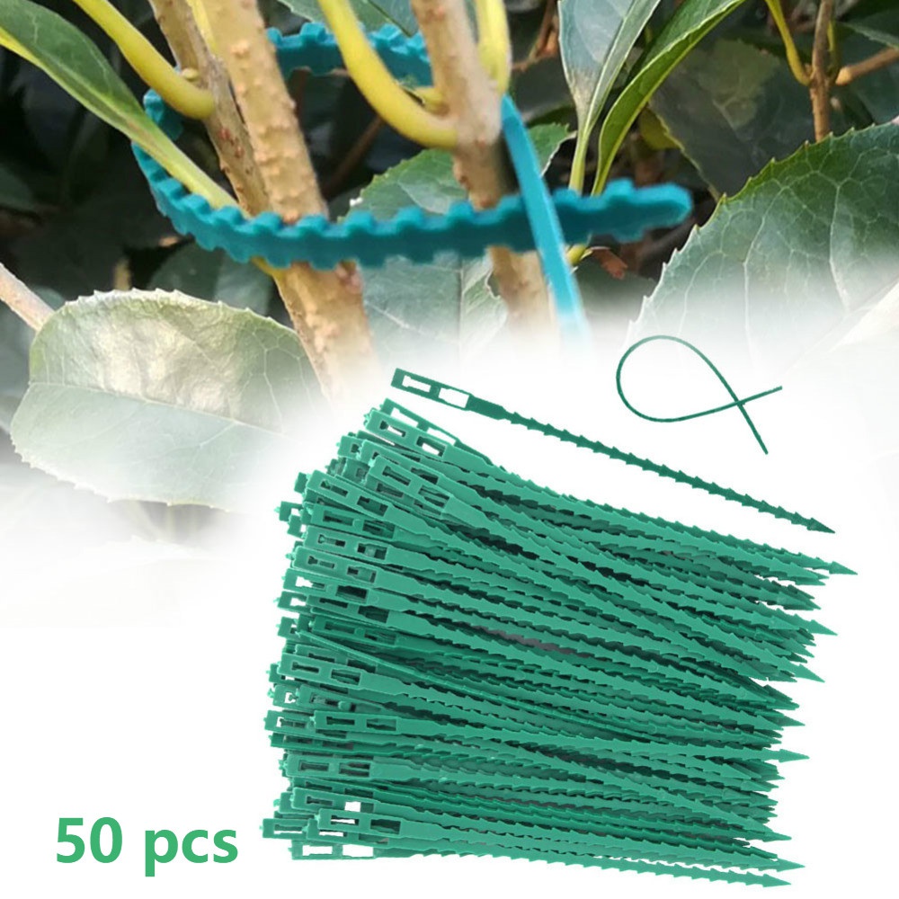50Pcs Reusable Adjustable Plas - Vine Climbing Plastic บทวิจารณ์และราคา