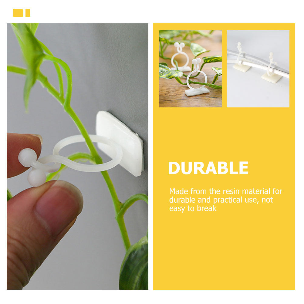 100Pcs Plant Climbing Wall Fix - Vine Climbing Plastic บทวิจารณ์และราคา