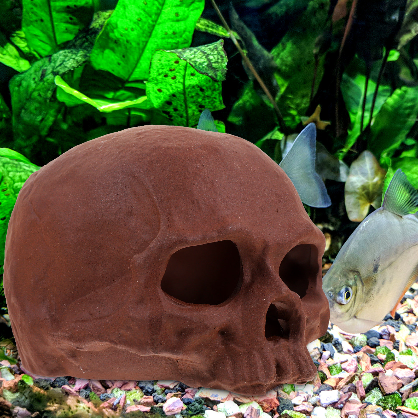 Ceramic Fish Tank Decoration S - Hide Cave Ceramic บทวิจารณ์และราคา