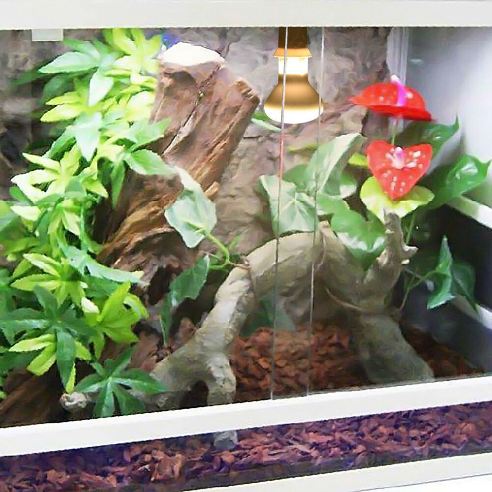 Turtle Temperature Controller  - Basking Bulb Halogen บทวิจารณ์และราคา