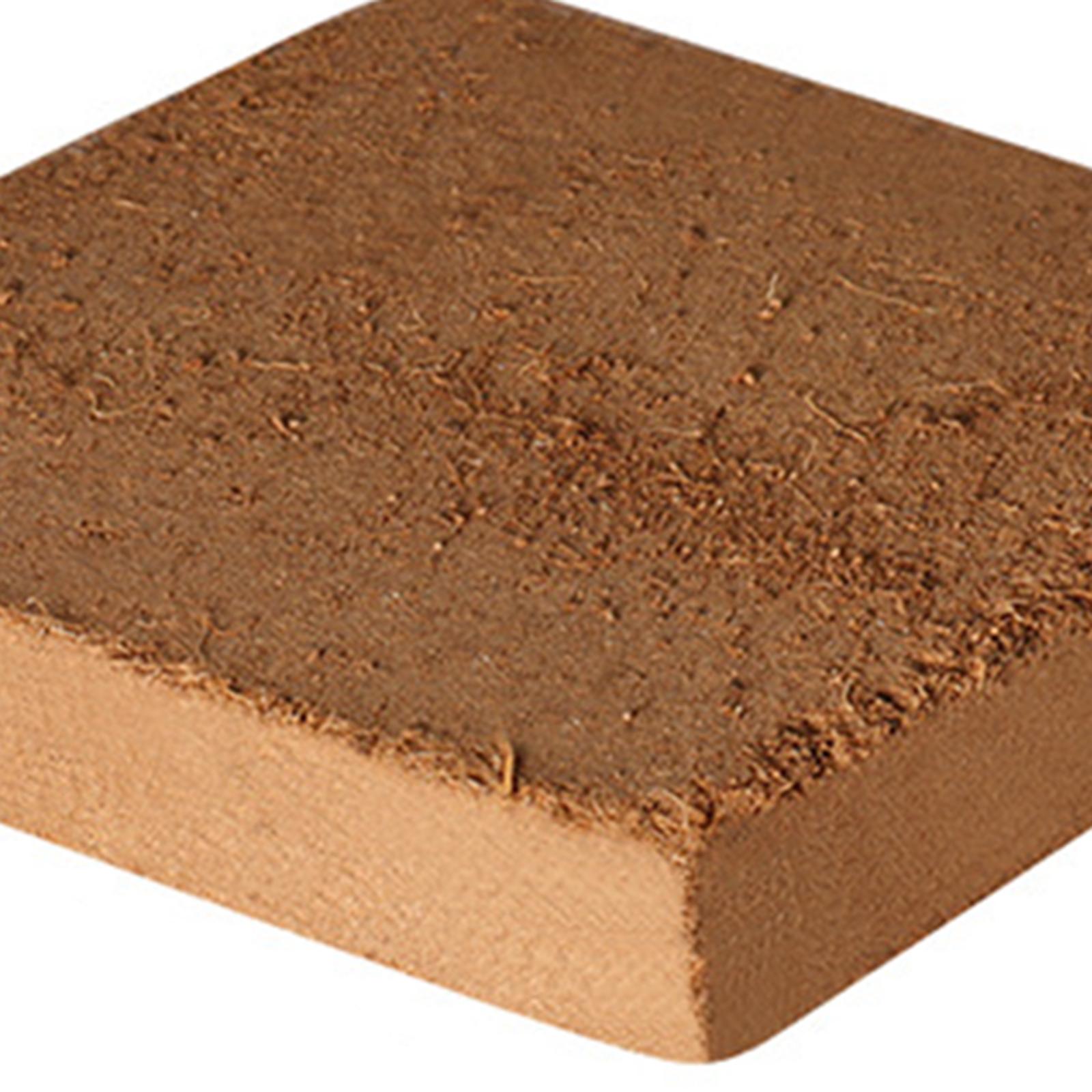 Soil Coconut Fibre Terrarium S - Substrate Coconut Fiber บทวิจารณ์และราคา