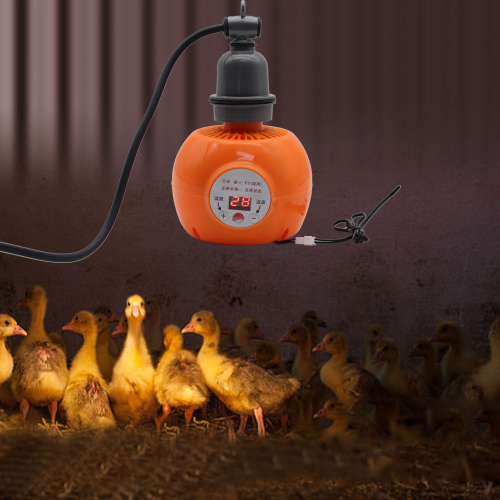 Pet Heater Animal Heating Lamp - Ceramic Heat Emitter บทวิจารณ์และราคา