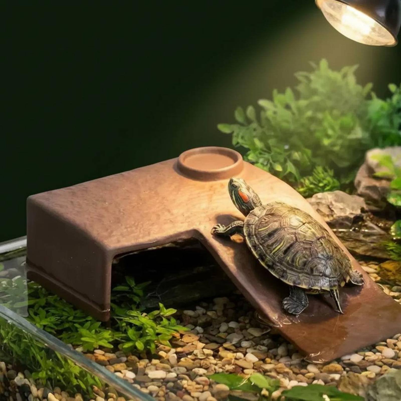 2 Pieces Turtle Basking Dock E - Hide Cave Ceramic บทวิจารณ์และราคา