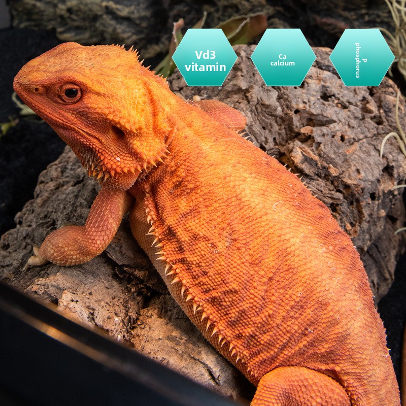 SuperRep Reptile Calcium Pro-V - Vitamin D3 Reptile บทวิจารณ์และราคา