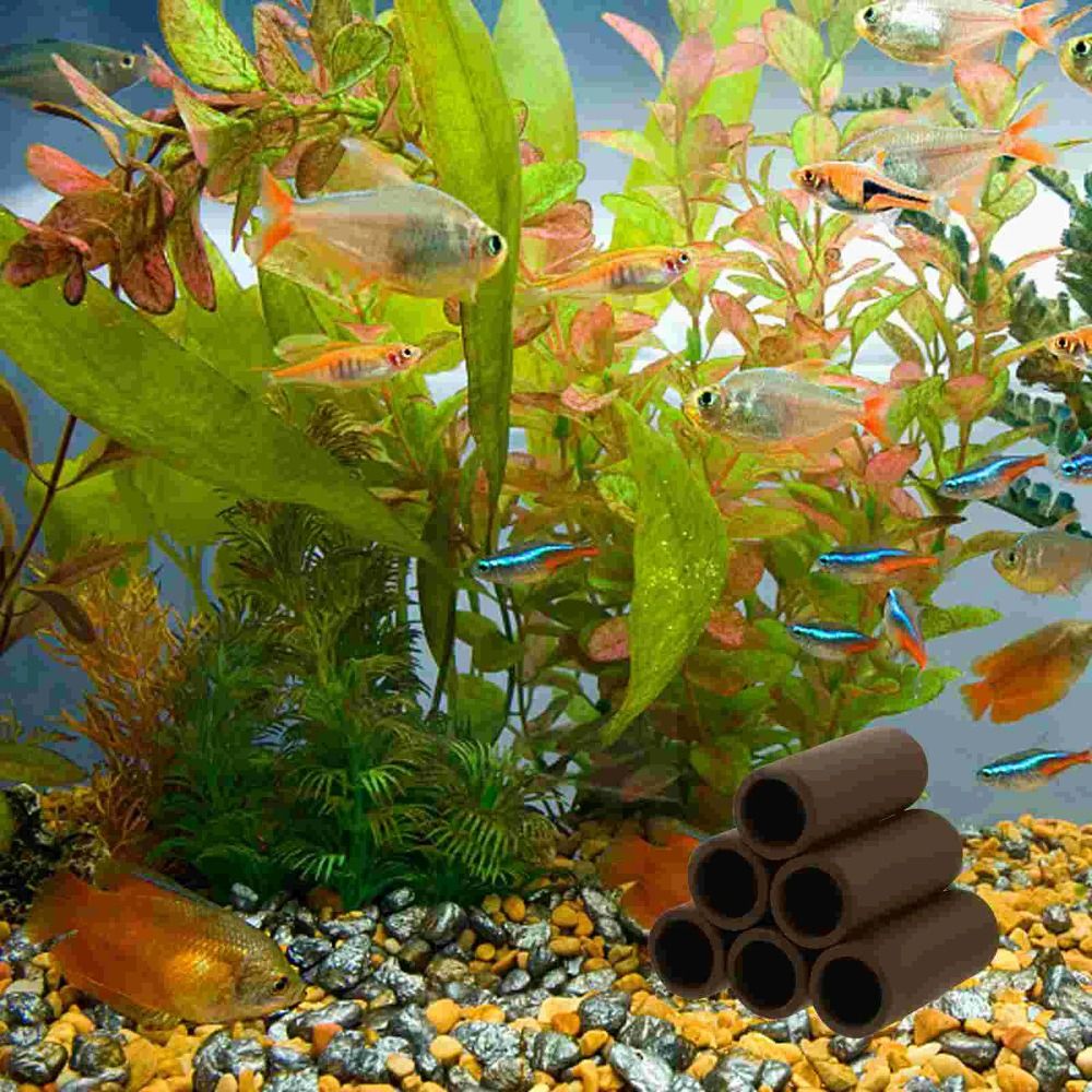 Playing Breeding Spawning Aqua - Hide Cave Ceramic บทวิจารณ์และราคา
