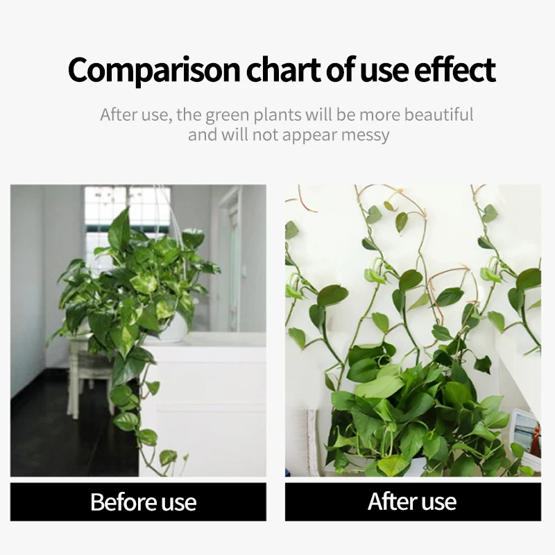 Plant Climbing Wall Self-Adhes - Vine Climbing Plastic บทวิจารณ์และราคา